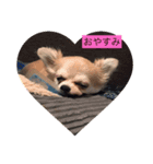 るぅ205（個別スタンプ：9）