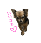 ぴーぷー3（個別スタンプ：7）