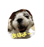 おすしの作品（個別スタンプ：2）
