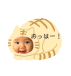 こたろ  1（個別スタンプ：1）