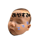 こたろ  1（個別スタンプ：8）