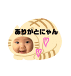 こたろ  1（個別スタンプ：10）