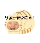こたろ  1（個別スタンプ：22）