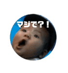 こたろ  1（個別スタンプ：24）