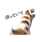 かわいわんこさん（個別スタンプ：2）