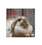 うさぎのゆきちゃんです（個別スタンプ：14）