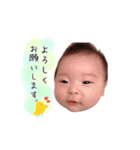 あやとくんのかお（個別スタンプ：24）