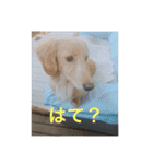 ラテまる2（個別スタンプ：3）