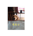 ラテまる2（個別スタンプ：5）