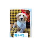 ラテまる2（個別スタンプ：6）