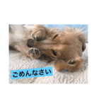 ラテまる2（個別スタンプ：8）