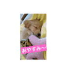 ラテまる2（個別スタンプ：9）