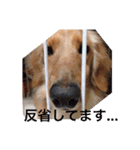 ラテまる2（個別スタンプ：10）