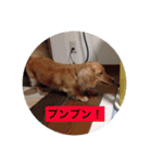 ラテまる2（個別スタンプ：13）