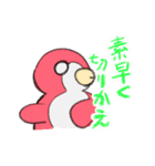 どすこいイマドキペンギン（個別スタンプ：34）