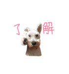 座間さんズ（個別スタンプ：26）