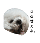彼は犬だ。（個別スタンプ：4）