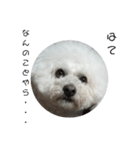 彼は犬だ。（個別スタンプ：6）