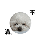 彼は犬だ。（個別スタンプ：8）