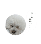 彼は犬だ。（個別スタンプ：10）
