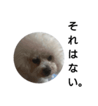 彼は犬だ。（個別スタンプ：11）