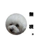 彼は犬だ。（個別スタンプ：14）