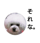 彼は犬だ。（個別スタンプ：16）