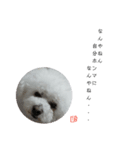 彼は犬だ。（個別スタンプ：18）