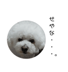 彼は犬だ。（個別スタンプ：19）