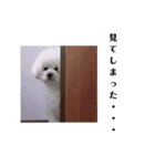 彼は犬だ。（個別スタンプ：20）