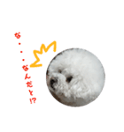 彼は犬だ。（個別スタンプ：21）