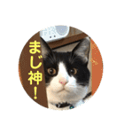 シーくん part2（個別スタンプ：11）
