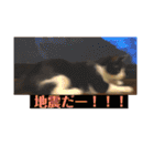 シーくん part2（個別スタンプ：27）