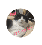 シーくん part2（個別スタンプ：28）