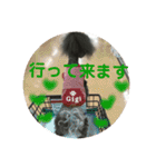 トイプードルGigi3（個別スタンプ：6）