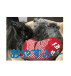 トイプードルGigi3（個別スタンプ：7）