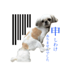 チーズ（個別スタンプ：4）