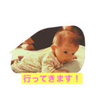 マリカスタンプ（個別スタンプ：13）