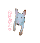 shie（個別スタンプ：13）