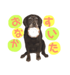 黒ラブちゃん★（個別スタンプ：10）