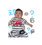 はくたん【 挨拶編】（個別スタンプ：1）
