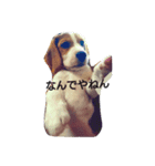 こうめとこはく（個別スタンプ：2）