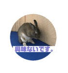 可愛いげで可愛くない少し可愛いうさぎ（個別スタンプ：8）