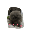 うさぎの二郎②（個別スタンプ：4）