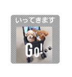 メリーとショコラの日常会話2（個別スタンプ：2）