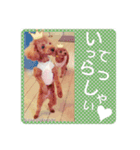 メリーとショコラの日常会話2（個別スタンプ：3）