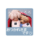 メリーとショコラの日常会話2（個別スタンプ：6）