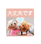 メリーとショコラの日常会話2（個別スタンプ：7）