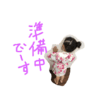 姉弟すたんぷ（個別スタンプ：6）