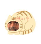 おもしろ顔（個別スタンプ：1）